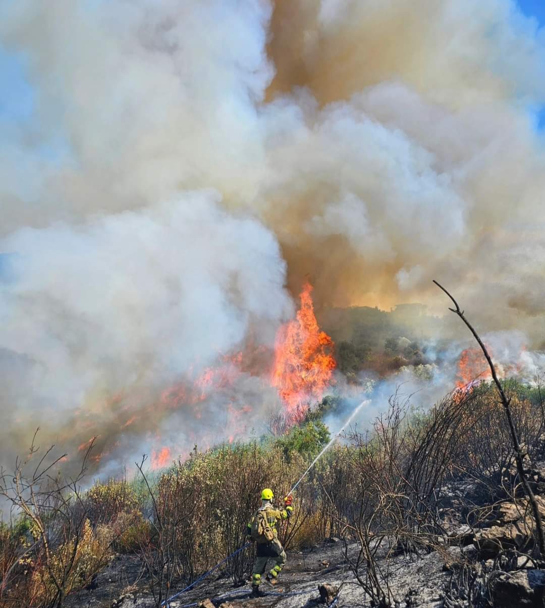 حرائق كارثية تلتهم غابات الصنوبر في عكار... وطوافات الجيش تؤازر جهود فرق الإطفاء (صور وفيديو)